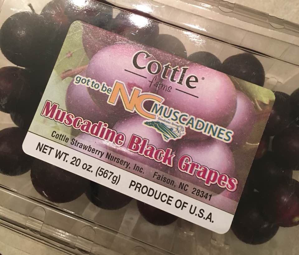 Trader Joe Sで見かけた幻のブドウ Muscadine Grapesとは アメリカで日本人が生活するブログ